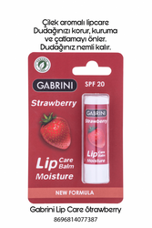 Gabrini Lipcare - Vip Beauty
